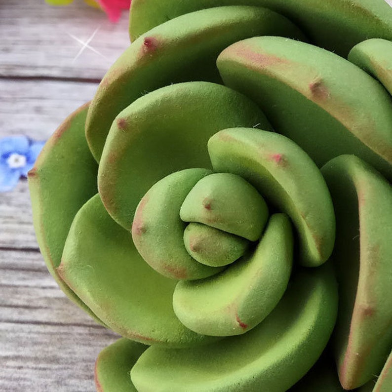 Succulent #1 Silicone Soap Mold - for soap making, Craft & Hobby