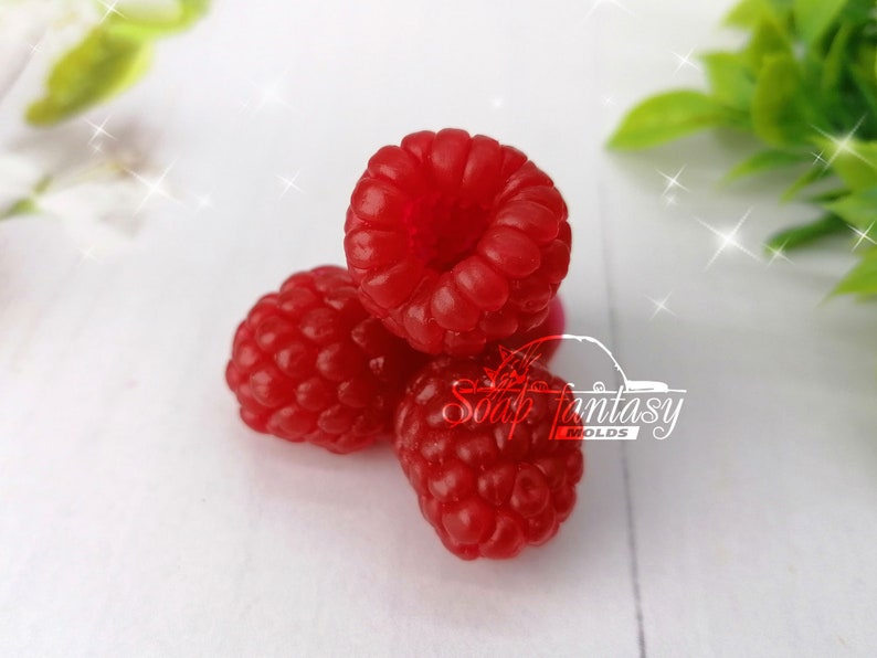 Triple berries Silicone Soap Mold - for soap making, Craft & Hobby