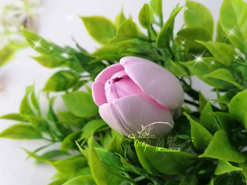 Mini tulip "Lima" Silicone Soap Mold - for soap making, Craft & Hobby