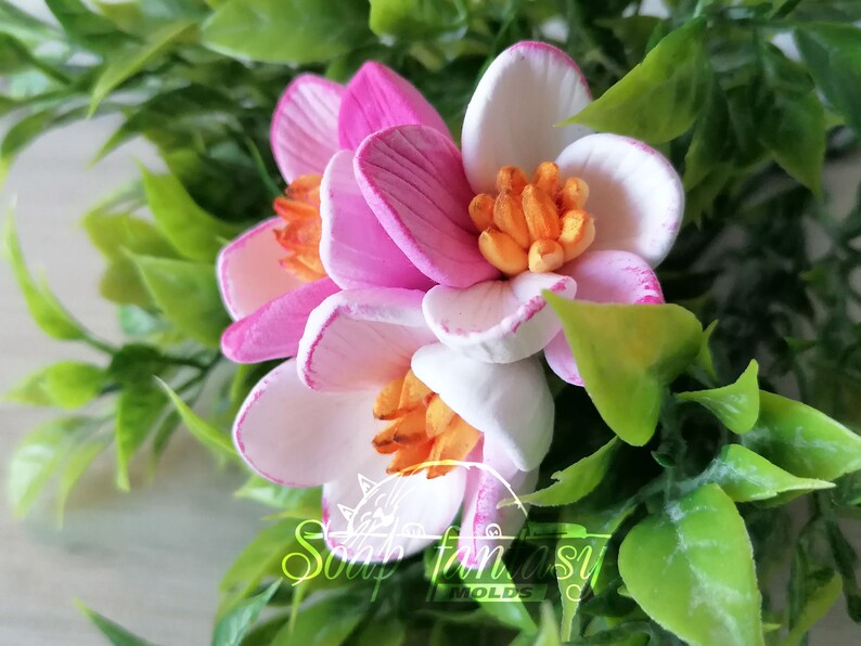 Apple flowers Silicone Soap Mold - for soap making, Craft & Hobby