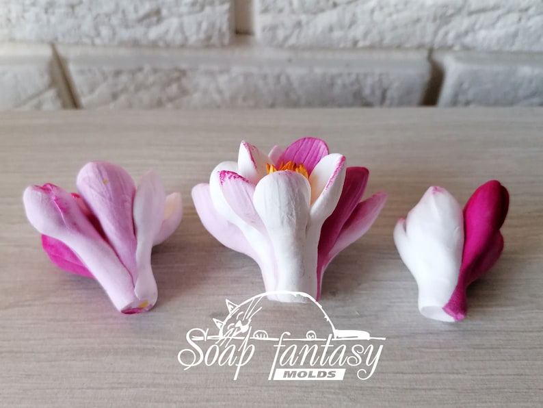 Apple flowers Silicone Soap Mold - for soap making, Craft & Hobby