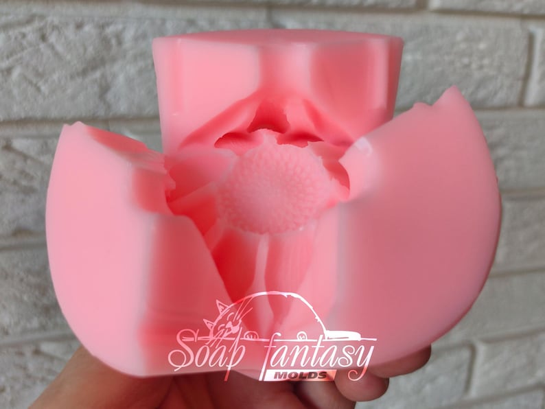 Happy daisy Silicone Soap Mold - for soap making, Craft & Hobby